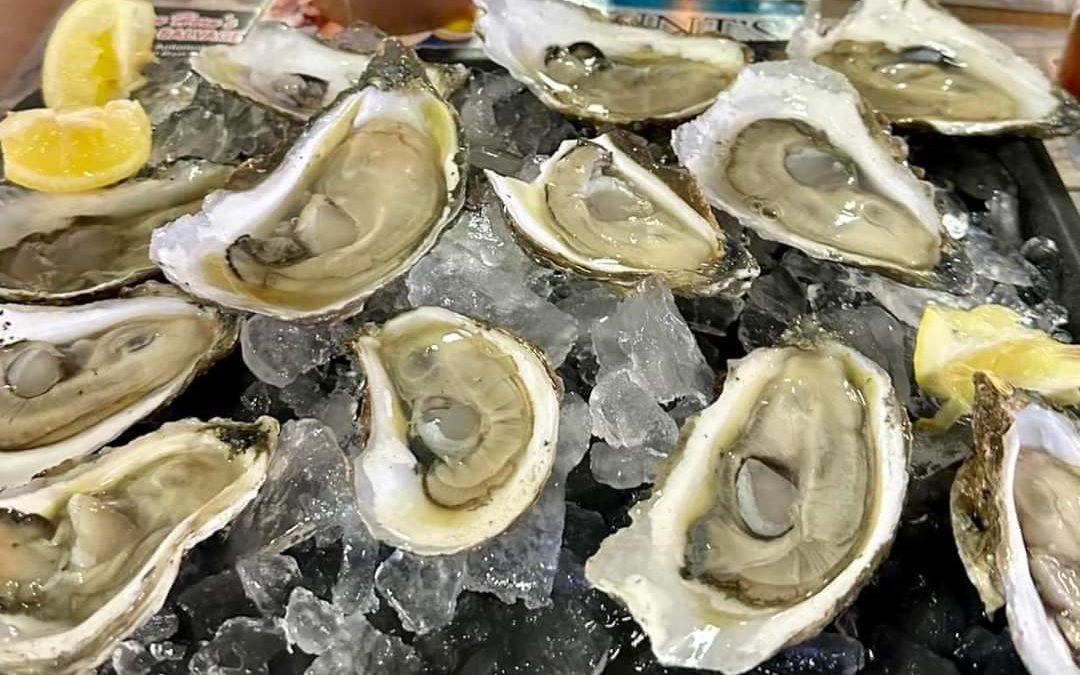 Exploring Panama City’s Oyster Scene: Top Spots for Seafood Lovers